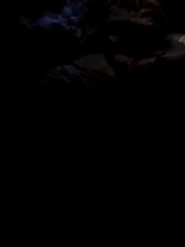 1990Mido online show from 04/13/26, 05:57