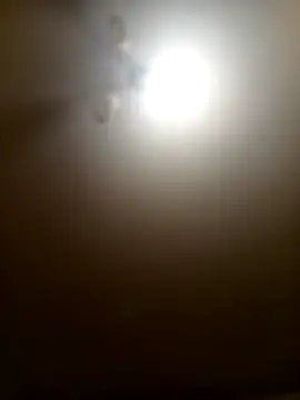 Snapshot of Niesmialyy chatting on 02/16/26, 08:16 Niesmialyy online show from 02/16/26, 08:16