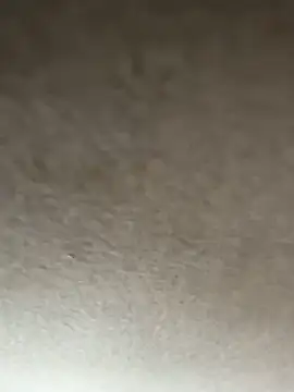 Snapshot of adamblunt59 chatting on 01/08/26, 09:33 adamblunt59 online show from 01/08/26, 09:33