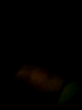 Snapshot of Yerackhip chatting on 03/09/26, 12:47 Yerackhip online show from 03/09/26, 12:47