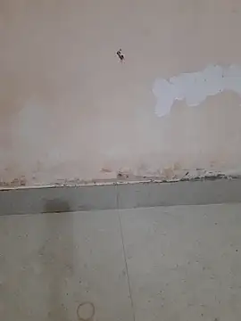 Madhubala singh online show from 03/18/26, 02:37