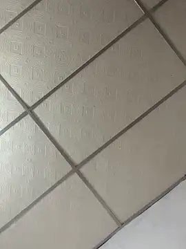 meliodas 23cm online show from 03/11/26, 04:40