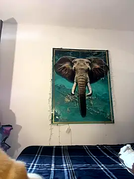 Snapshot of alisaa_jhons1 chatting on 12/14/25, 04:56 alisaa jhons1 online show from 12/14/25, 04:56