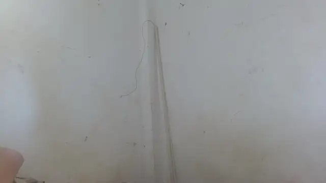 the breasts of desir  online show from 11/11/25, 01:55