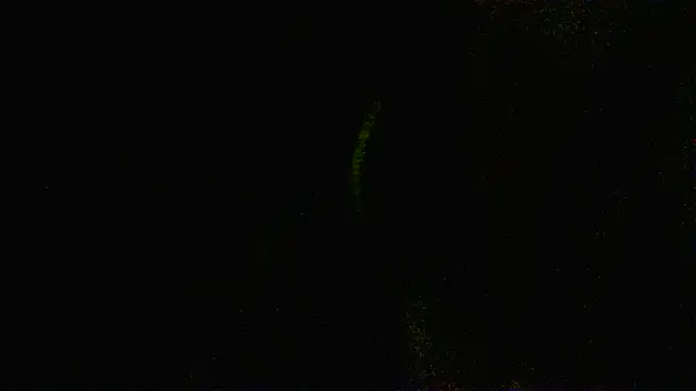 Zulreyna online show from 05/06/26, 04:52