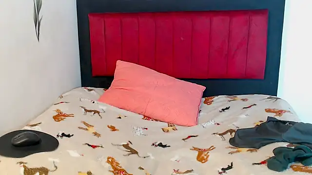 Snapshot of AMARYXS chatting on 02/13/26, 02:24 AMARYXS online show from 02/13/26, 02:24