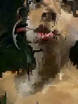 Snapshot of mara_rosseX chatting on 11/09/25, 06:33 mara rosseX online show from 11/09/25, 06:33