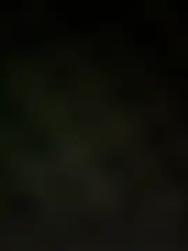 Snapshot of trickydickydaddy chatting on 03/13/26, 07:59 trickydickydaddy online show from 03/13/26, 07:59