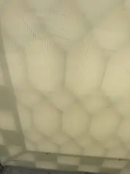 elqueteda lechita online show from 04/20/26, 07:37