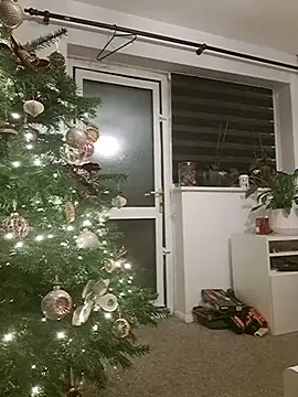 Snapshot of Adam11699 chatting on 12/20/25, 02:29 Adam11699 online show from 12/20/25, 02:29