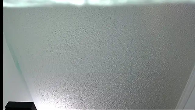 Snapshot of Little-rouse chatting on 11/30/25, 02:32 Little-rouse online show from 11/30/25, 02:32