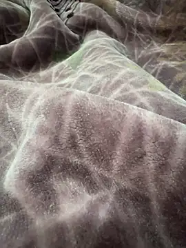 Snapshot of Afganiboy chatting on 02/04/26, 01:50 Afganiboy online show from 02/04/26, 01:50