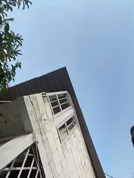 zyrastorm online show from 11/30/25, 10:58