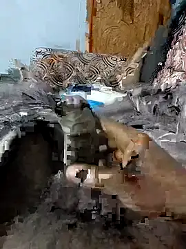 Snapshot of spermc chatting on 02/06/26, 04:10 spermc online show from 02/06/26, 04:10