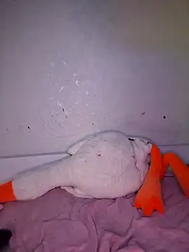 Snapshot of carolinakis_ chatting on 02/20/26, 07:36 carolinakis online show from 02/20/26, 07:36