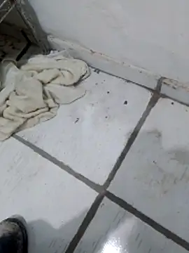 Paugostoso270515 online show from 04/10/26, 03:17