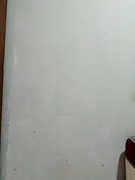 moreninhazinha online show from 03/11/26, 05:41