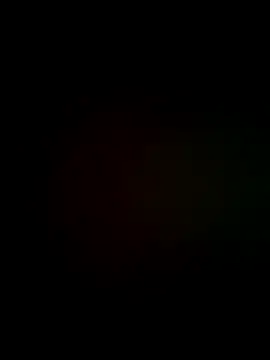 exxotisch online show from 11/17/25, 11:10