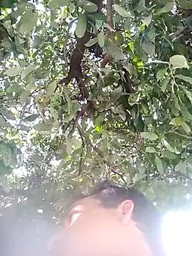 Snapshot of nori_dunda chatting on 12/17/25, 06:47 nori dunda online show from 12/17/25, 06:47