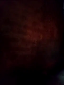 Snapshot of Jelly-squirt chatting on 05/02/26, 10:48 Jelly-squirt online show from 05/02/26, 10:48