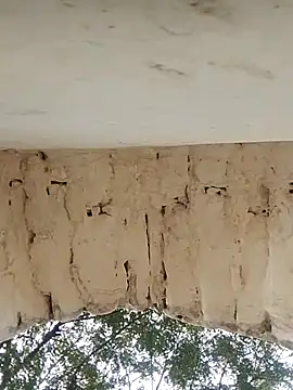 Snapshot of Xxx_suhana chatting on 11/27/25, 07:54 Xxx suhana online show from 11/27/25, 07:54