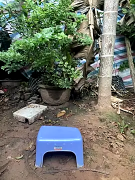 Snapshot of XndSeraphina chatting on 12/03/25, 09:40 XndSeraphina online show from 12/03/25, 09:40