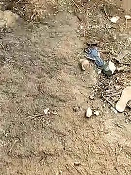 Snapshot of Meow_buggie chatting on 01/13/26, 10:42 Meow buggie online show from 01/13/26, 10:42