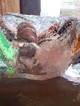 Snapshot of Meow_buggie chatting on 01/16/26, 07:51 Meow buggie online show from 01/16/26, 07:51