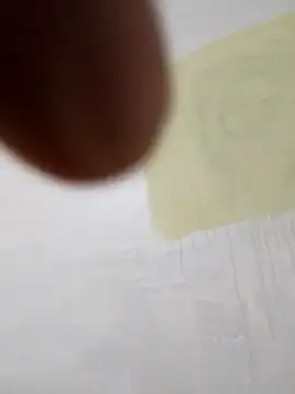 paoandjoe1010 online show from 11/22/25, 11:42