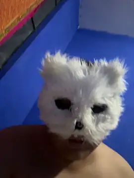 Snapshot of aricub chatting on 12/16/25, 12:59 aricub online show from 12/16/25, 12:59