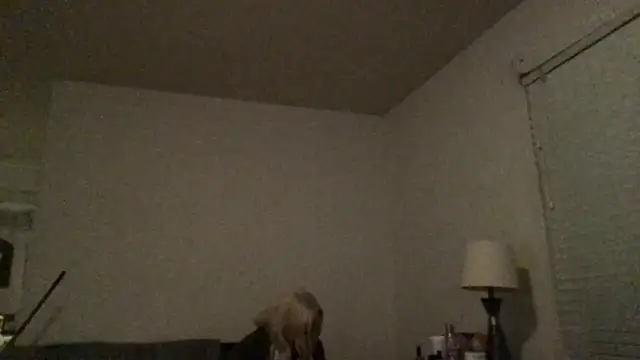 Snapshot of Babyboobabybye08 chatting on 03/06/26, 11:17 Babyboobabybye08 online show from 03/06/26, 11:17