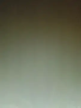 Snapshot of ArgentinaShani chatting on 02/11/26, 03:00 ArgentinaShani online show from 02/11/26, 03:00