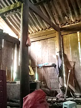 Snapshot of Lily-ross22 chatting on 11/25/25, 05:07 Lily-ross22 online show from 11/25/25, 05:07