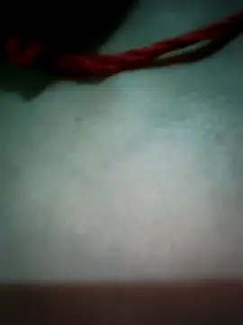Punam panjabi online show from 06/11/26, 03:10