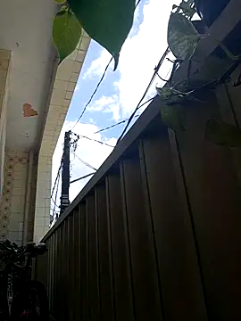 wakahoe online show from 04/08/26, 01:33