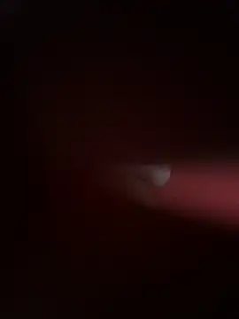 Snapshot of PartiedOmelet chatting on 11/24/25, 07:24 PartiedOmelet online show from 11/24/25, 07:24