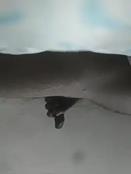 Snapshot of hunter379 chatting on 12/03/25, 09:40 hunter379 online show from 12/03/25, 09:40