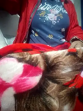 Snapshot of SassyDiy chatting on 01/13/26, 11:59 SassyDiy online show from 01/13/26, 11:59