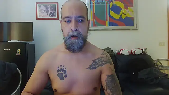 Snapshot of AMIRDIB2025 chatting on 06/15/26, 01:57 AMIRDIB2025 online show from 06/15/26, 01:57