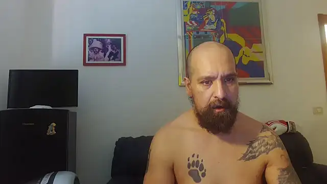 Snapshot of AMIRDIB2025 chatting on 06/17/26, 10:50 AMIRDIB2025 online show from 06/17/26, 10:50