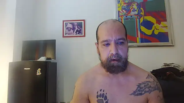 Snapshot of AMIRDIB2025 chatting on 07/19/26, 04:33 AMIRDIB2025 online show from 07/19/26, 04:33