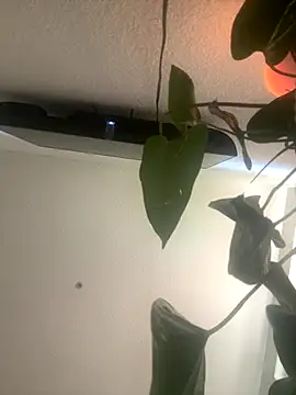 Snapshot of redheadangel_5 chatting on 11/29/25, 10:35 redheadangel 5 online show from 11/29/25, 10:35