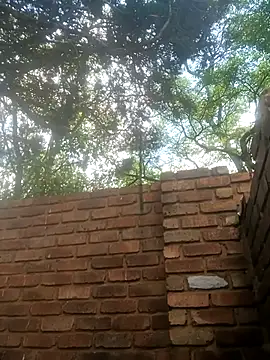 Snapshot of BlackJuicy_01 chatting on 12/15/25, 10:52 BlackJuicy 01 online show from 12/15/25, 10:52