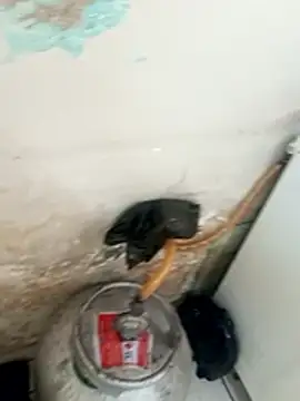  - putinha - online show from 12/17/25, 03:18