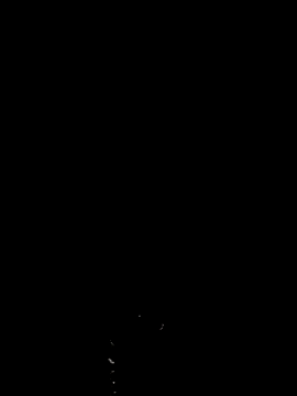 Rukmadi hot online show from 01/14/26, 04:01