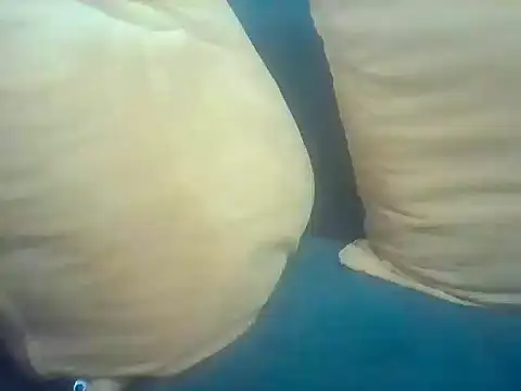 livhuwanie online show from 01/10/26, 09:30