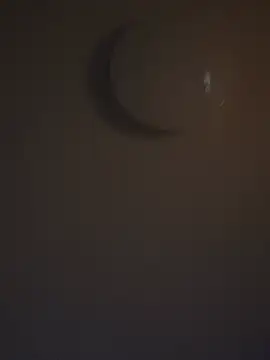 DutchMiracle26 online show from 04/28/26, 11:10