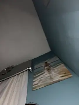 Snapshot of Kittycqtx chatting on 03/23/26, 09:08 Kittycqtx online show from 03/23/26, 09:08