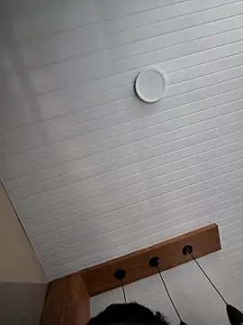 seunamoradinho7 online show from 12/01/25, 09:58