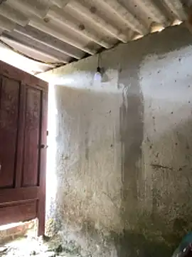 Snapshot of Samsam-006 chatting on 01/17/26, 05:56 Samsam-006 online show from 01/17/26, 05:56